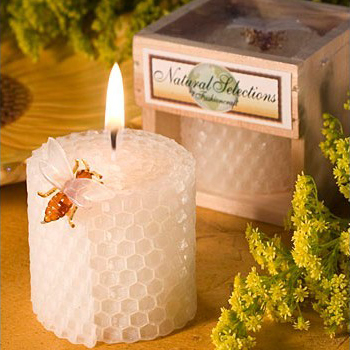 Детские принадлежности для дня – обзор и цена Candle Supplies Usa